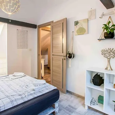 The Greenhouse Skyparlor In The Heart Of Timisoara